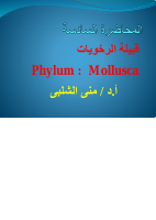 م6 (1).pdf